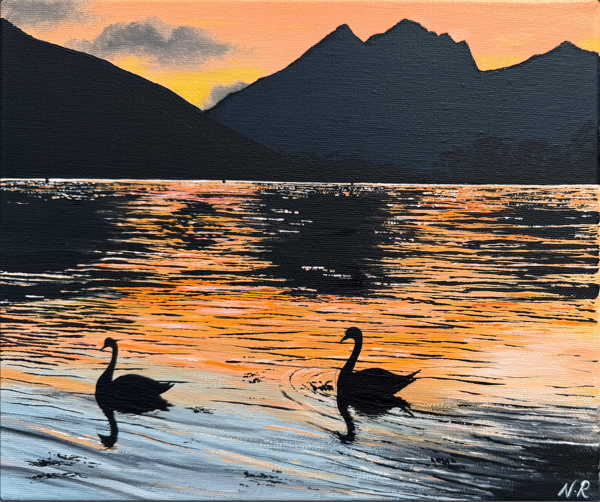 Swans Silhouette